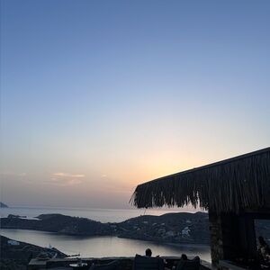 Meet your Posher, Ali